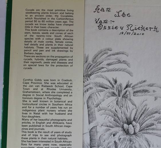 Cycads of South Africa by Cynthia Giddy