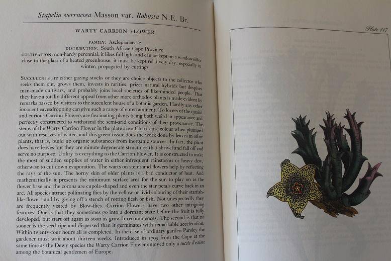 Curtis's Flower Garden Displayed by T. Whittle and C. Cook. 120 Plates from the years 1787-1807