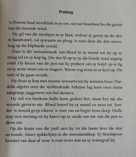 Ys deur Rudie van Rensburg. Geteken