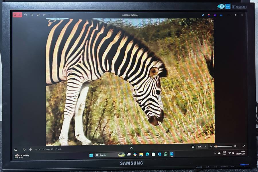 SAMSUNG 22" Wide LCD Monitor *NO STAND*