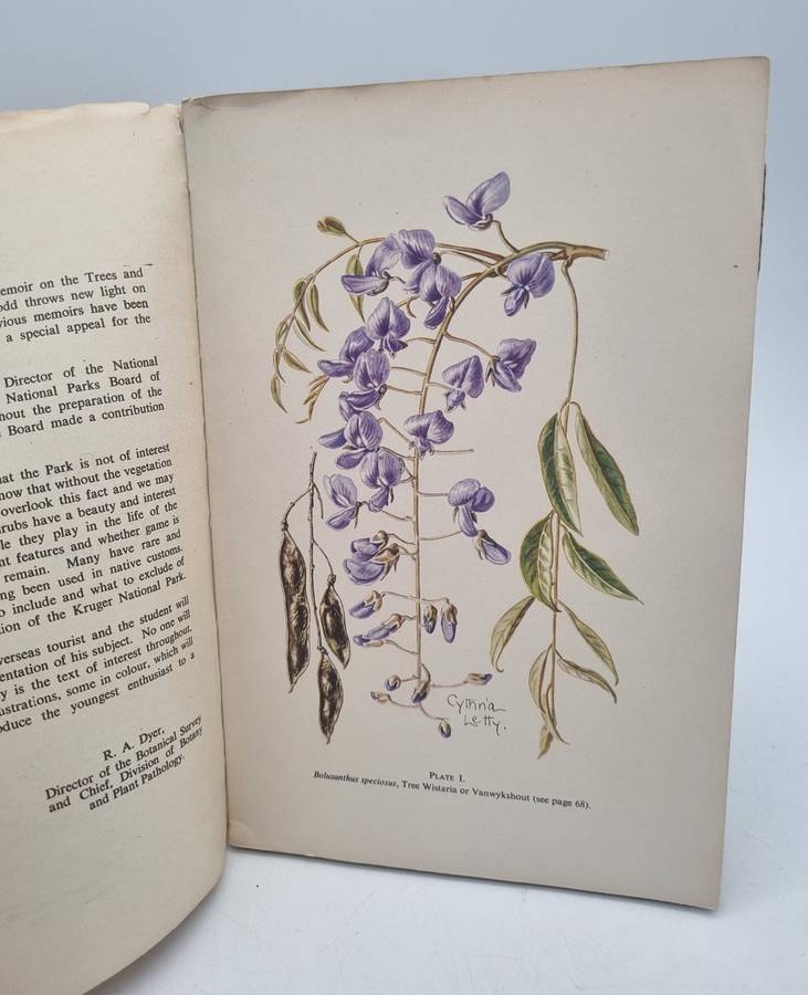 Trees and Shrubs of the Kruger National Park ~ LEW Codd