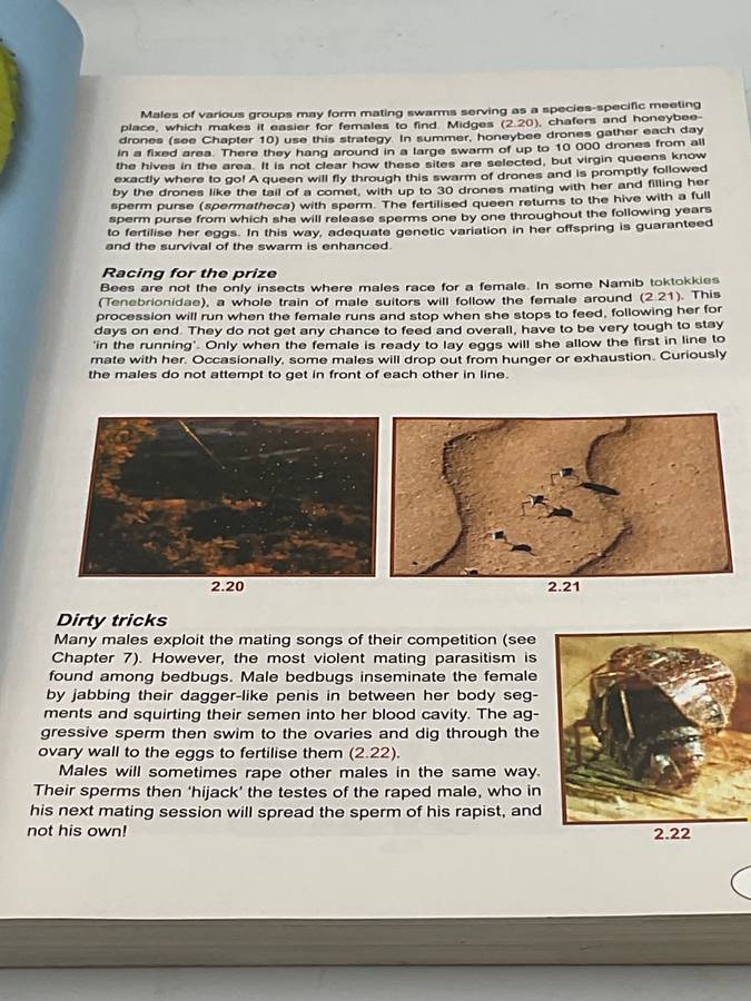 Insectlopedia of Southern Africa by Erik Holm 2008