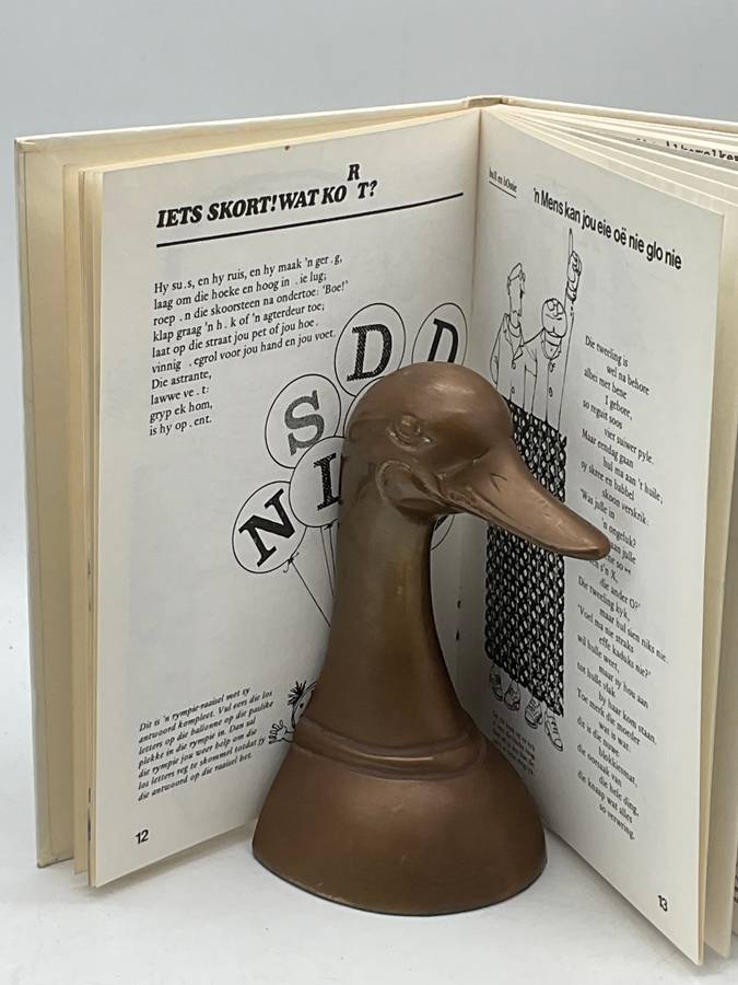 `n Bietjie Baie Bogtery - Pieter W Grobbelaar & Willem Jordaan