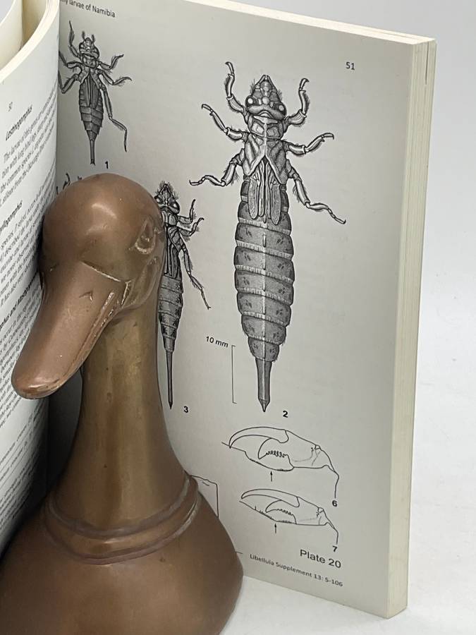 Namibian Dragonflies: Larval Key and Distribution Suhling, Muller, Martens | Libellula 13