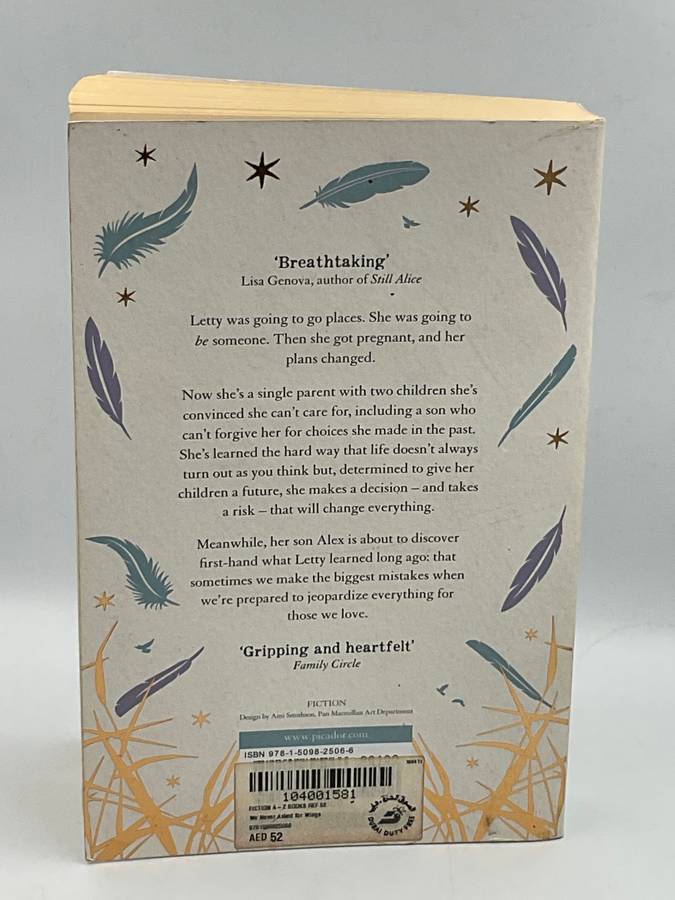 We Never Asked for Wings by Vanessa Diffenbaugh