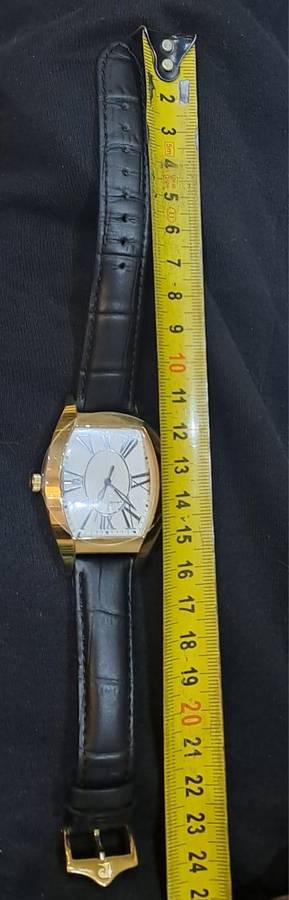 Pierre Cardin Watch