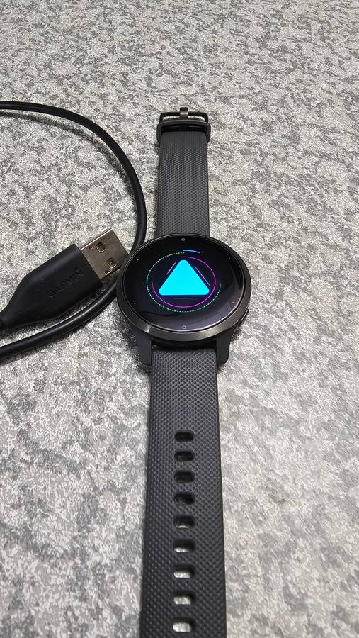 Garmin Venu 2s Smart Watch (40mm) Slate with Graphite