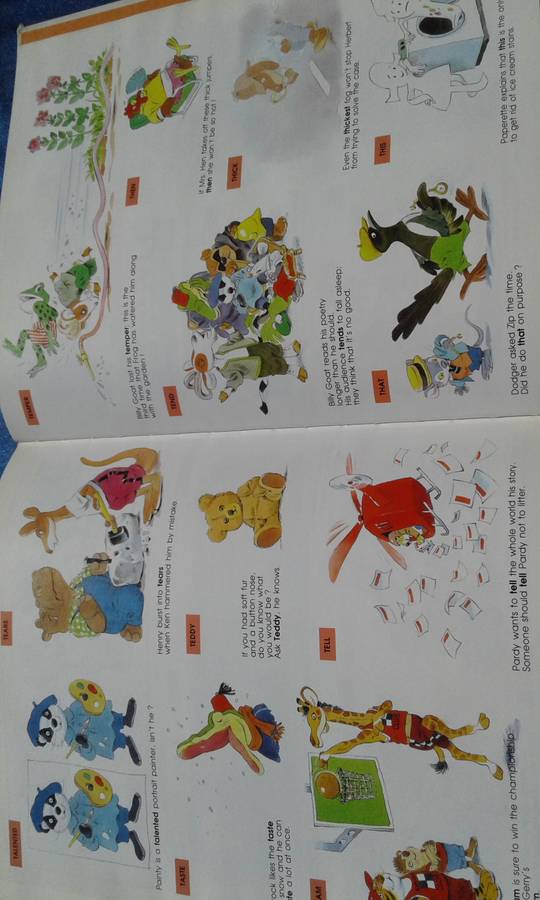 `The Teddy Bear's Dictionary`  Hard cover.