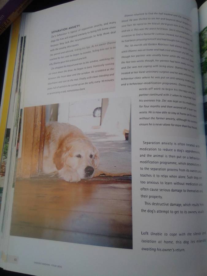 "Understanding your Dog"  Hard cover.