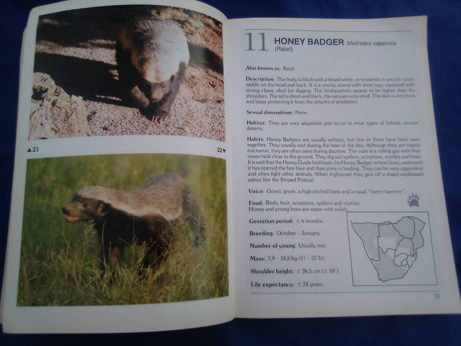 "Mammals of Southern Africa". Burger Cillie.  Soft cover.