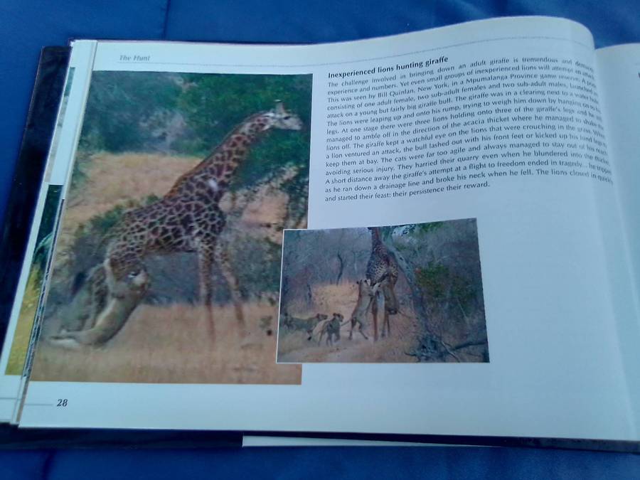 "Veld Focus" Ten years of Nature's Wonders.  Hard cover.