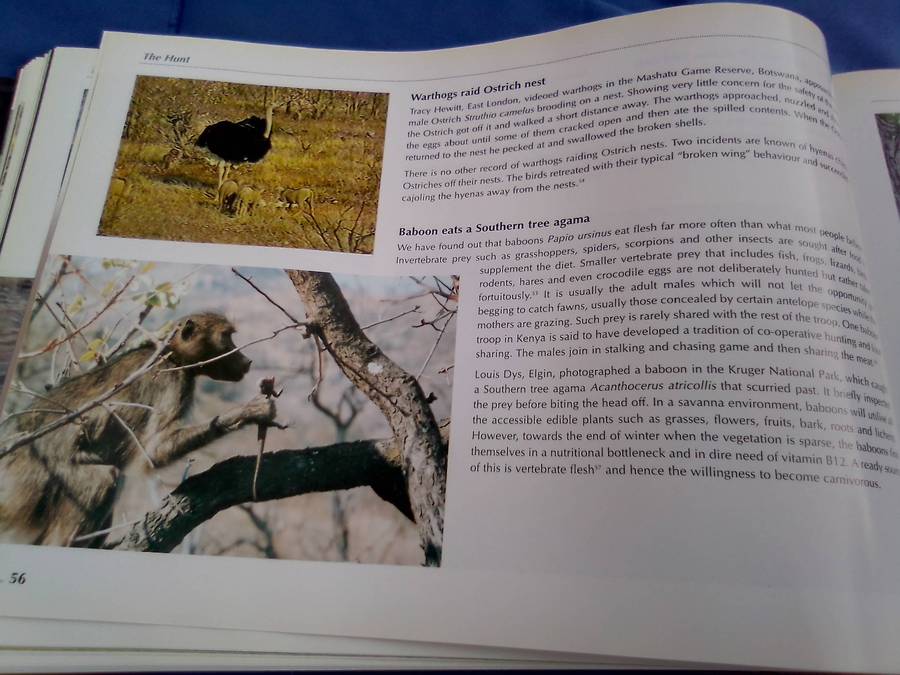 "Veld Focus" Ten years of Nature's Wonders.  Hard cover.