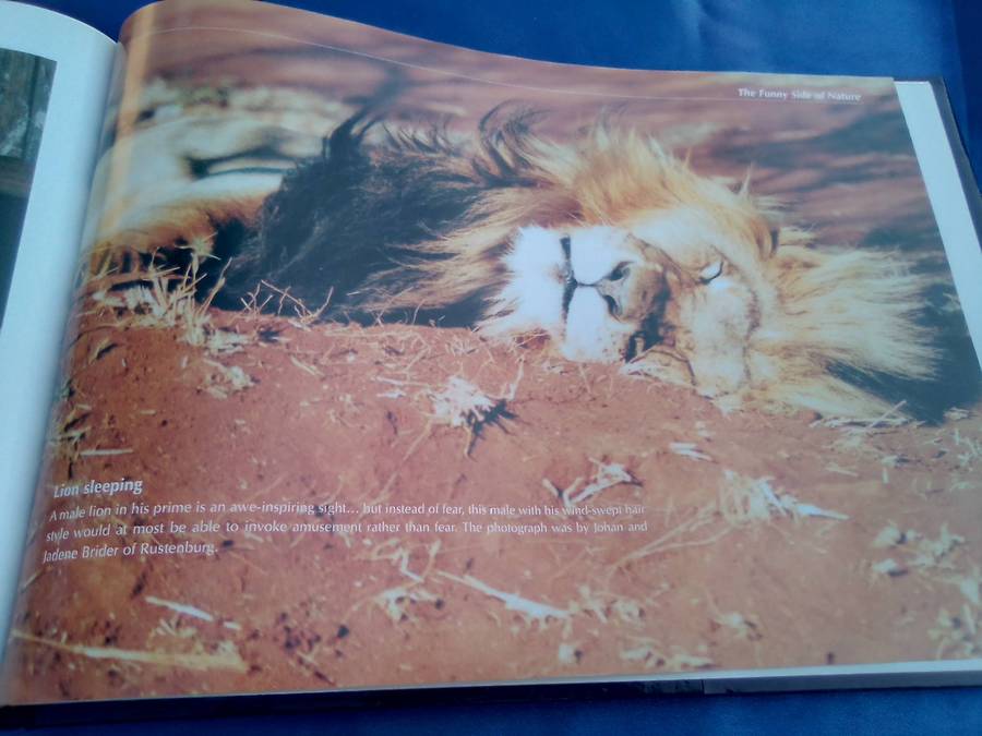 "Veld Focus" Ten years of Nature's Wonders.  Hard cover.