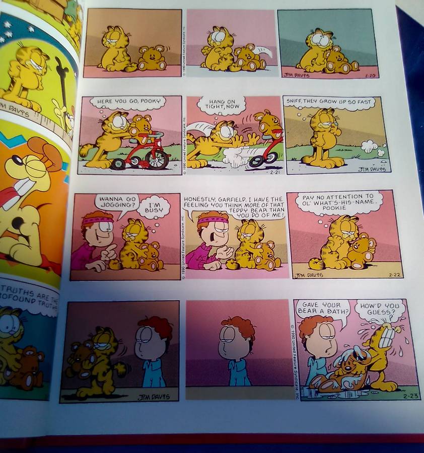 "The Garfield Super Selection". Hard cover.  Condition:. Excellent.
