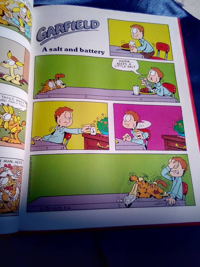 "The Garfield Super Selection". Hard cover.  Condition:. Excellent.
