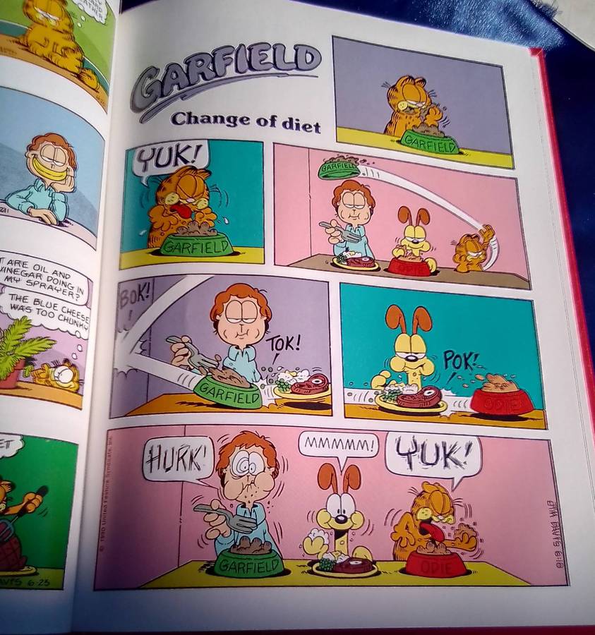 "The Garfield Super Selection". Hard cover.  Condition:. Excellent.