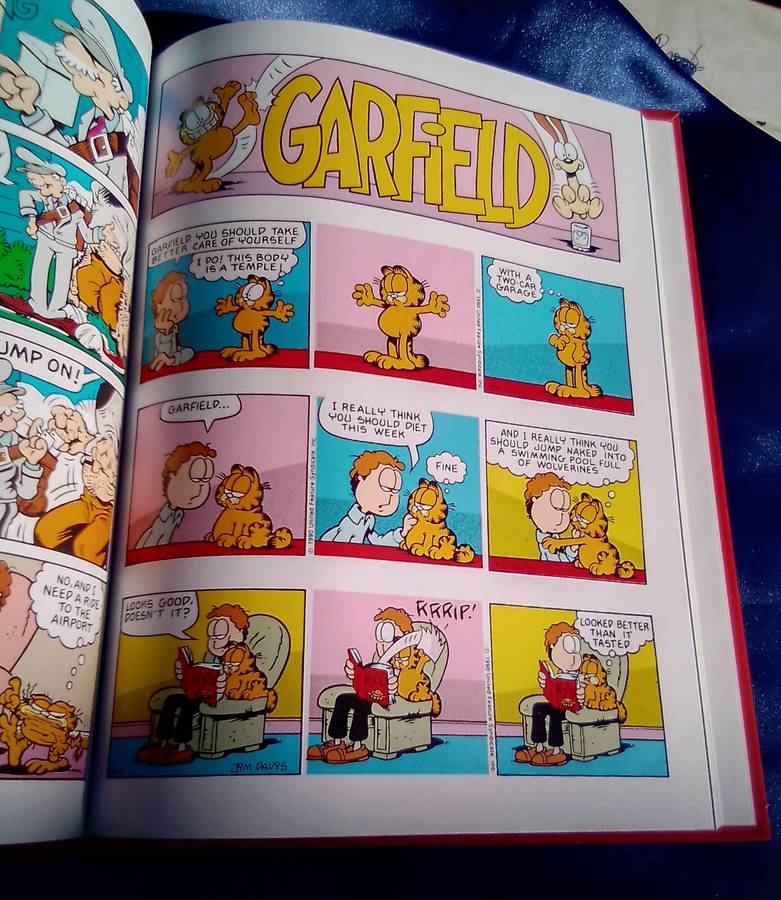 "The Garfield Super Selection". Hard cover.  Condition:. Excellent.