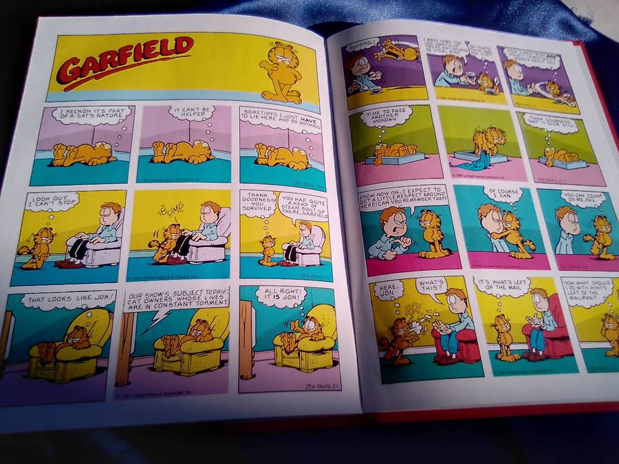 "The Garfield Super Selection". Hard cover.  Condition:. Excellent.