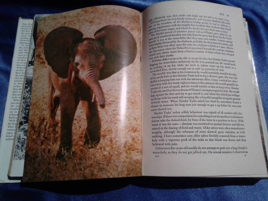 "Among the Elephants". Iain & Oria Douglas-Hamilton. . Hard cover.