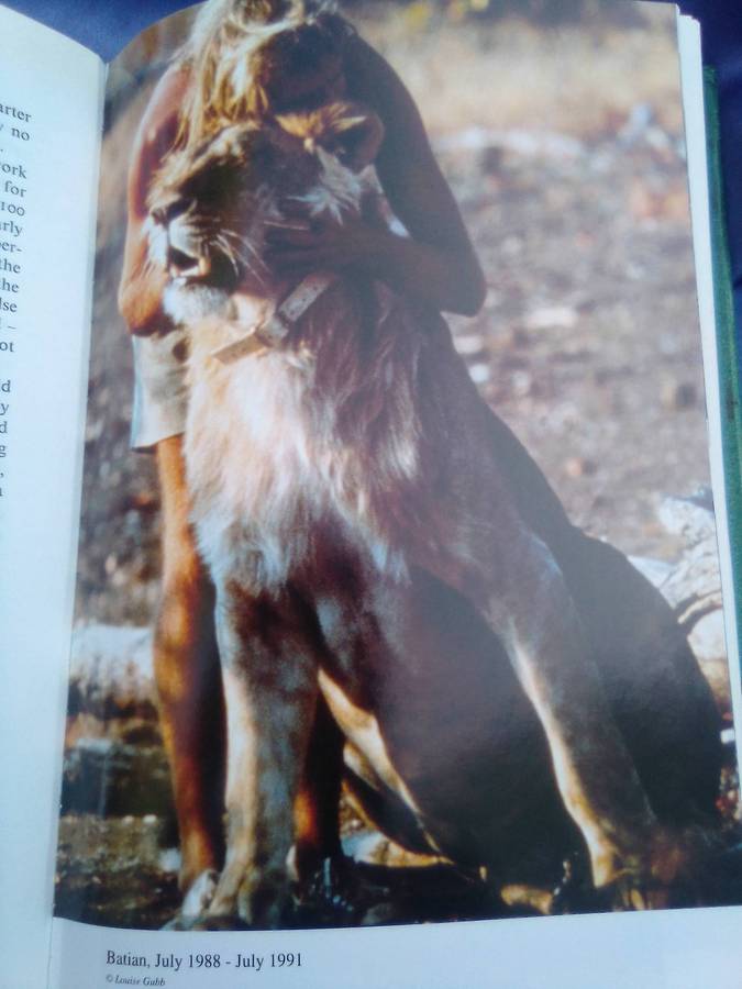 "With my Soul Amongst Lions". Hard cover.