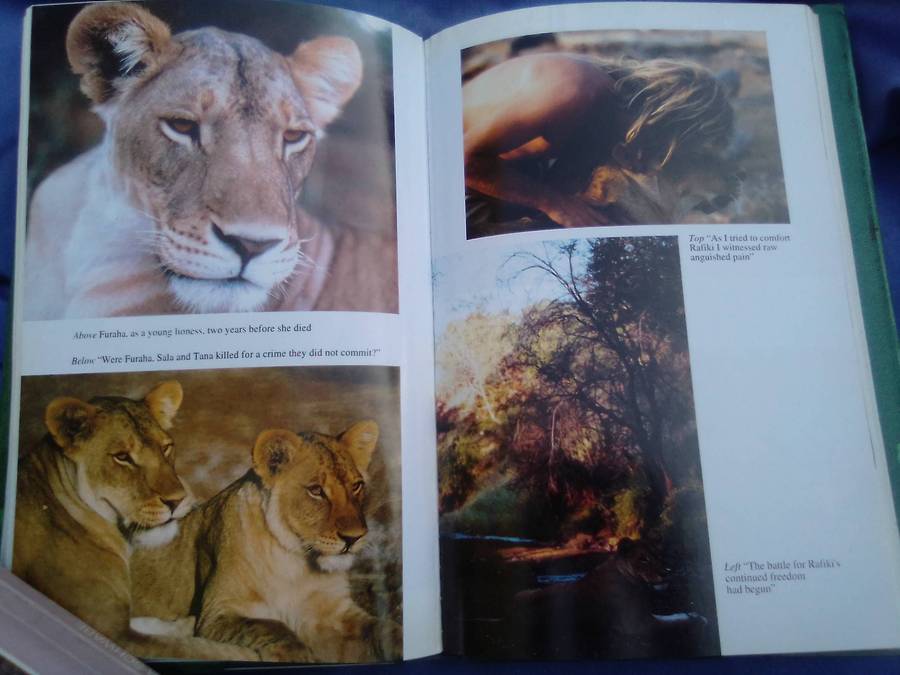 "With my Soul Amongst Lions". Hard cover.