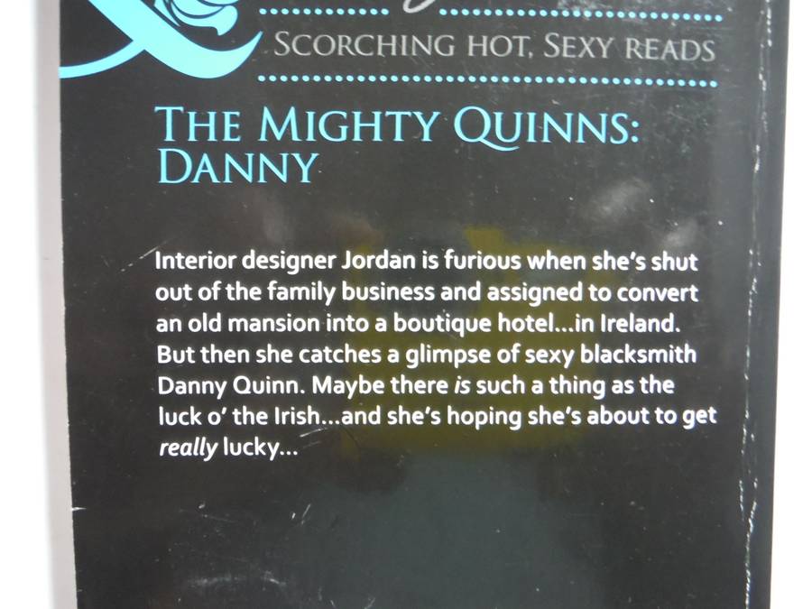 Mills & Boon : The Mighty Quinns: Danny - Paperback - Kate Hoffmann