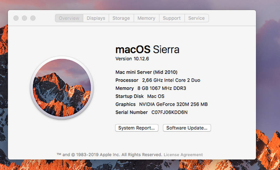 Mac Mini 2010 Server