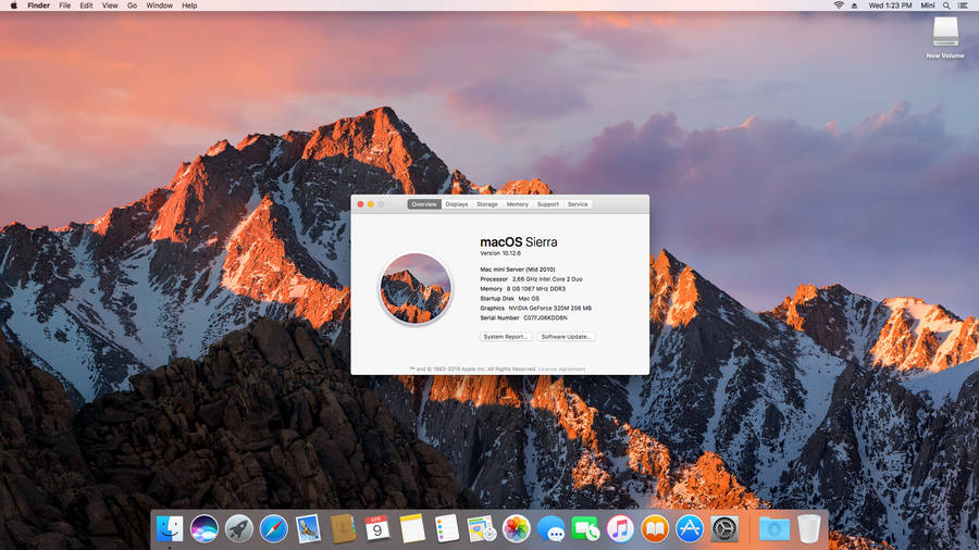 Mac Mini 2010 Server