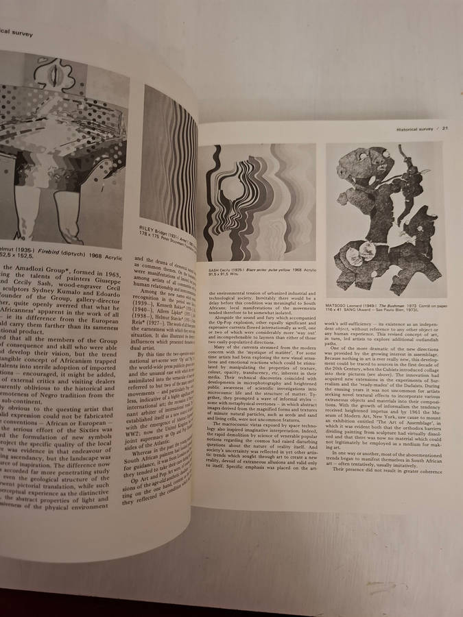 Art and Artists of South Africa (Esme Berman)