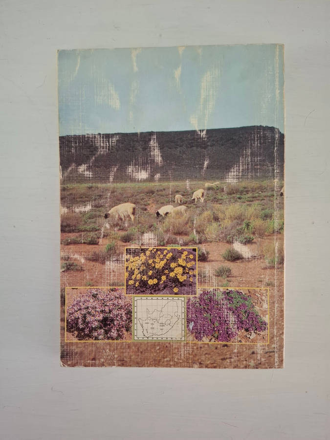 Bossieveld: Weiplante van die Karoo en Karooagtige gebiede Grazing plants of the Karoo and Karoo-lik