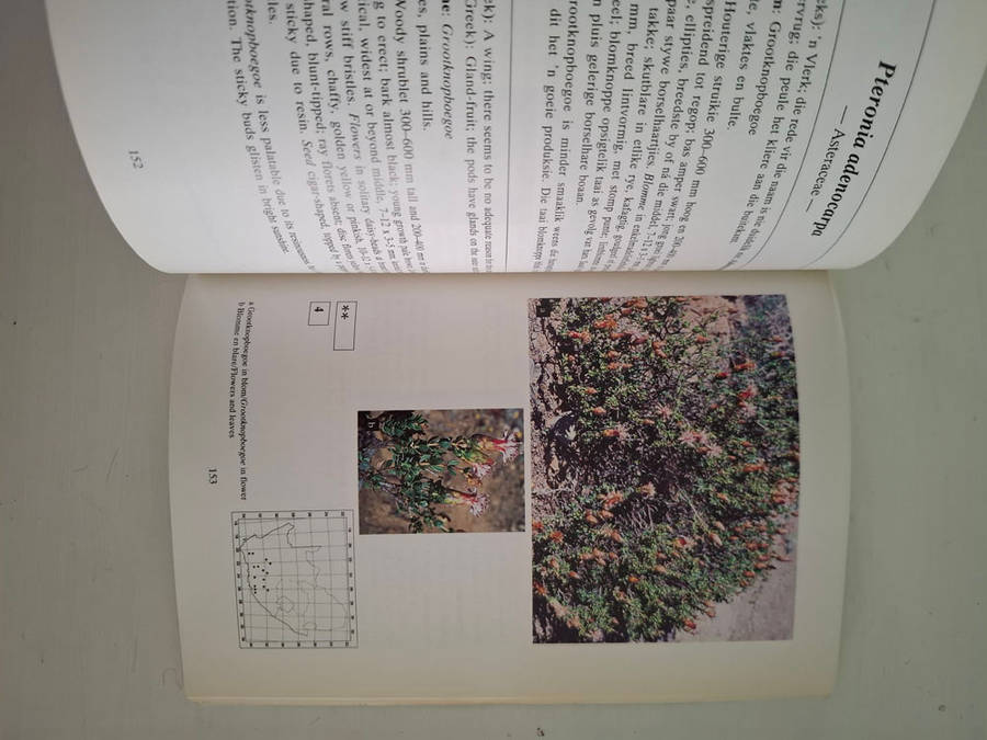 Bossieveld: Weiplante van die Karoo en Karooagtige gebiede Grazing plants of the Karoo and Karoo-lik