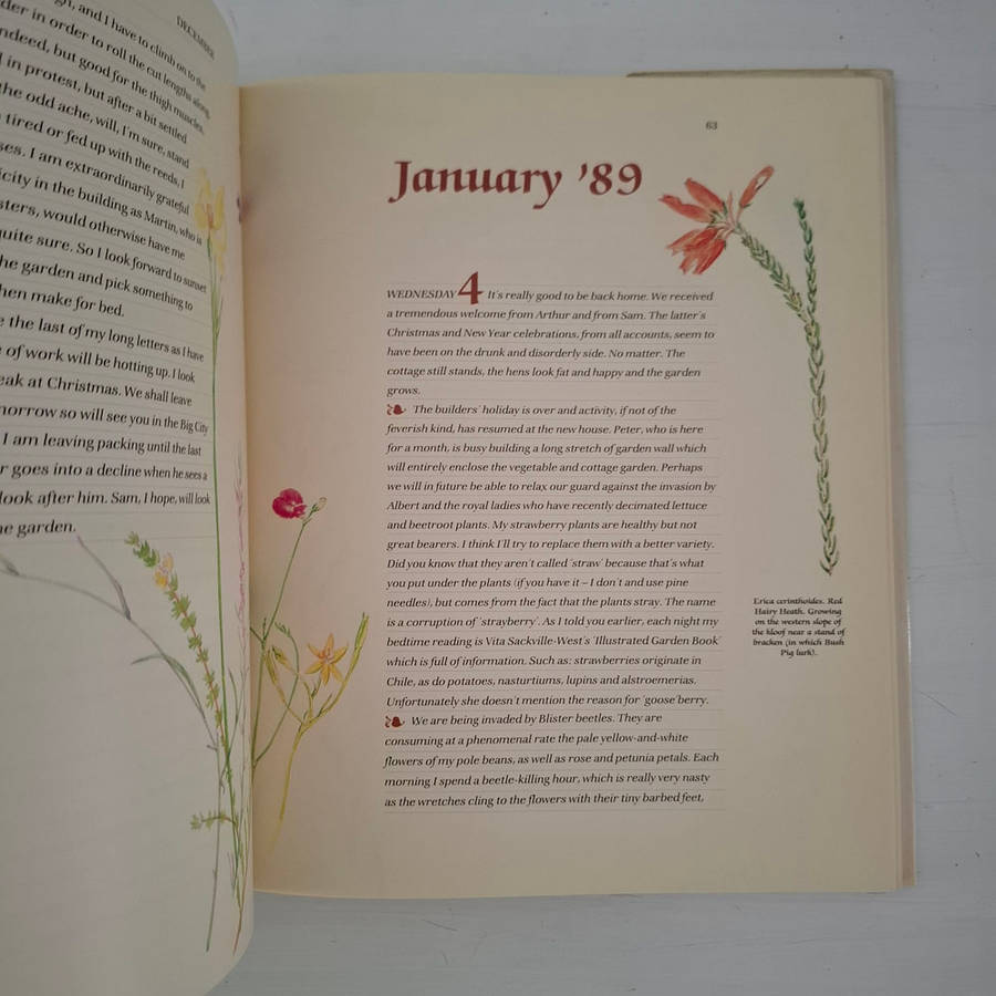 A Cape Country Chronicle  - Rattray, Gillian