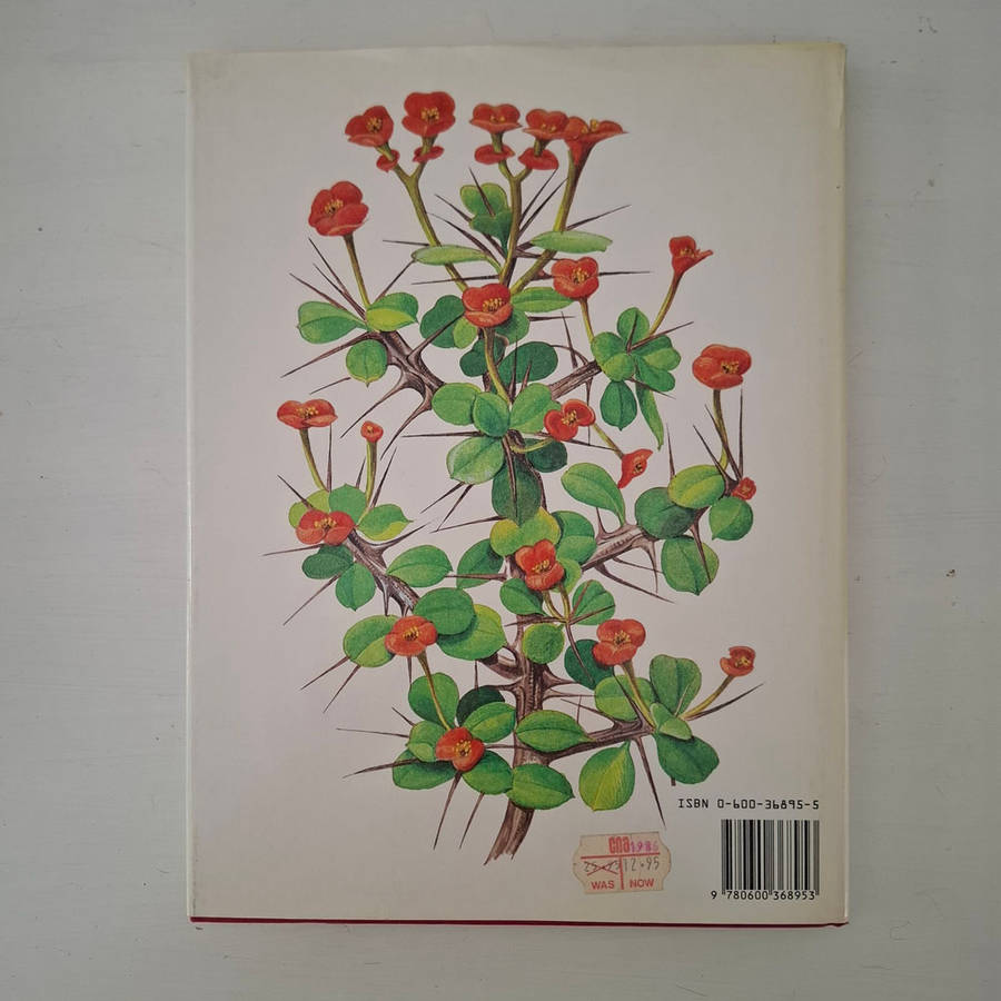 The Collingridge Book of Cacti and other succulents, Illustrated by June Baker - Rochford, Thomas C.