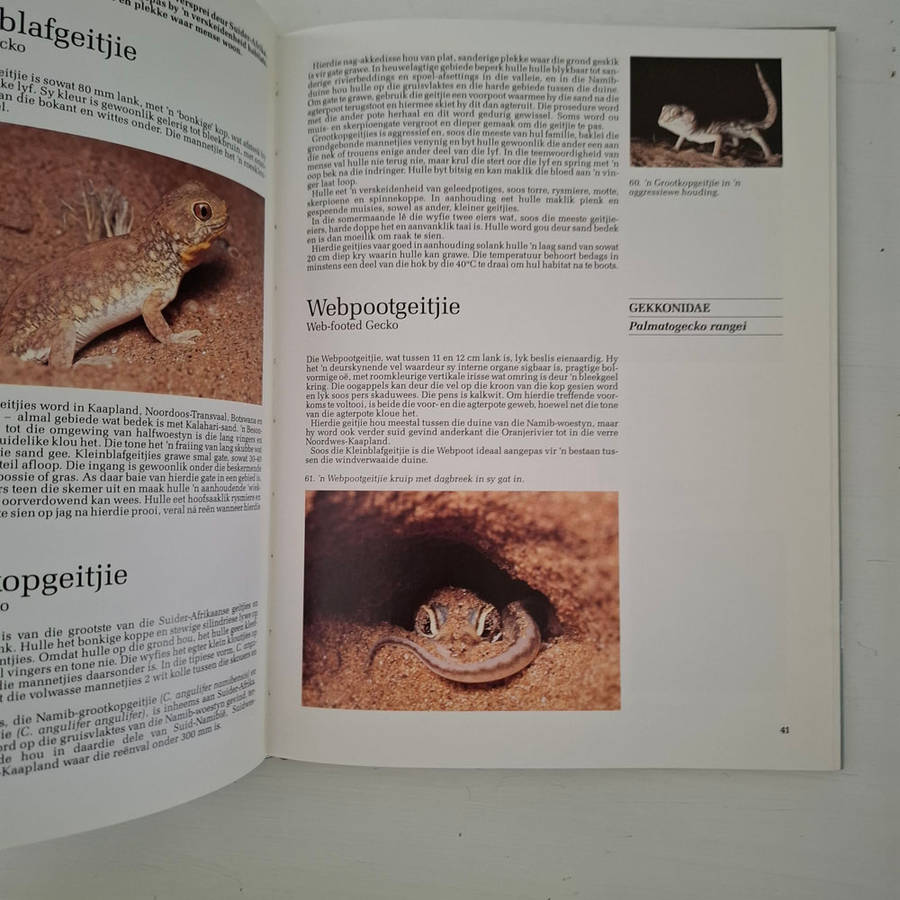 Reptiele Van Suider-Afrika - Patterson, Rod, Bannister, Anthony