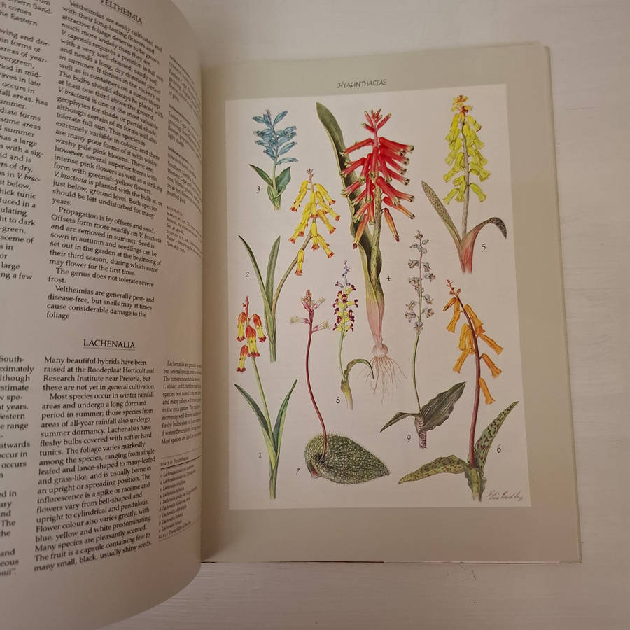 Bulbous Plants of Southern Africa: A Guide to Their Cultivation and Propagation