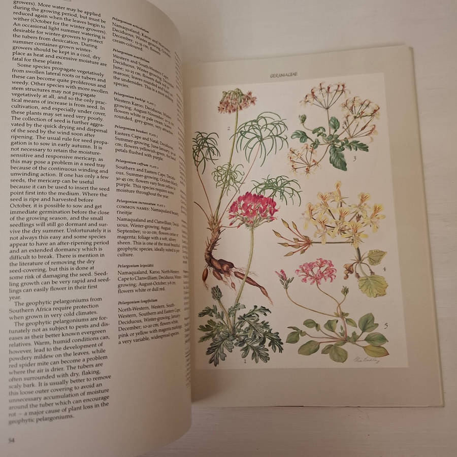 Bulbous Plants of Southern Africa: A Guide to Their Cultivation and Propagation