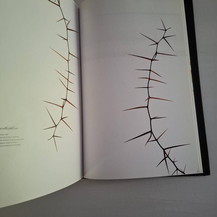 Subtraction  (Clinton Friedman)