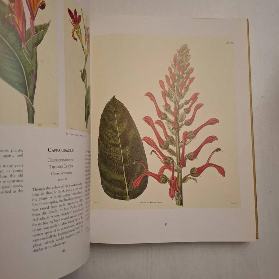 Art in Nature - Martyn Rix (Introduction)