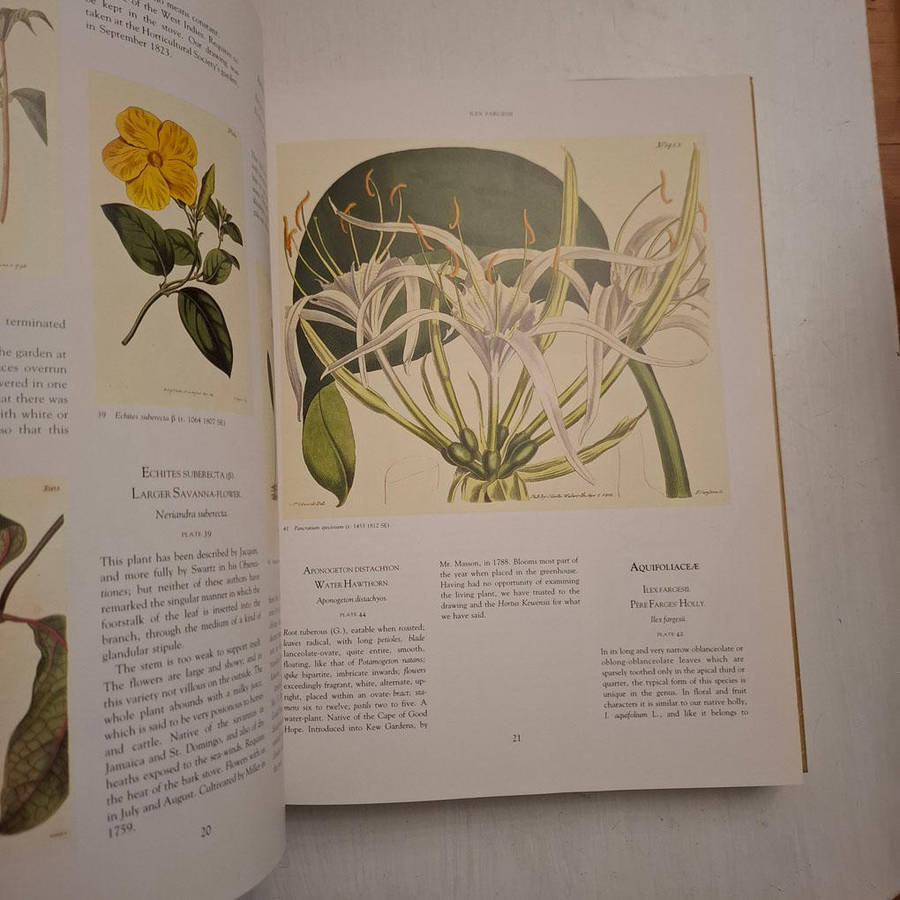 Art in Nature - Martyn Rix (Introduction)