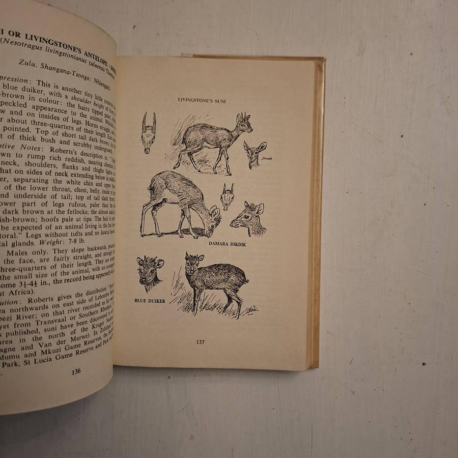 The Game Animals Of Southern Africa (Astley C.T. Maberly)