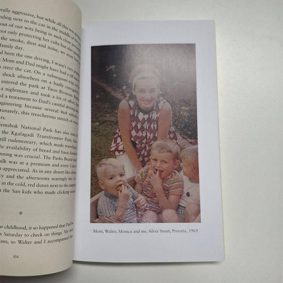 Impossible Skies: life with my brother, the artist Walter Meyer (Frans Meyer)