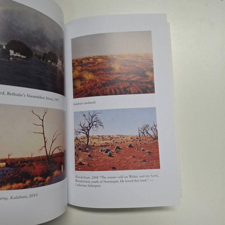 Impossible Skies: life with my brother, the artist Walter Meyer (Frans Meyer)