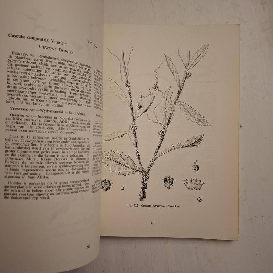 Algemene Onkruide in Suid-Afrika / Common Weeds in South Africa (Botaniese Opname, Memoir Nr. 37 / B