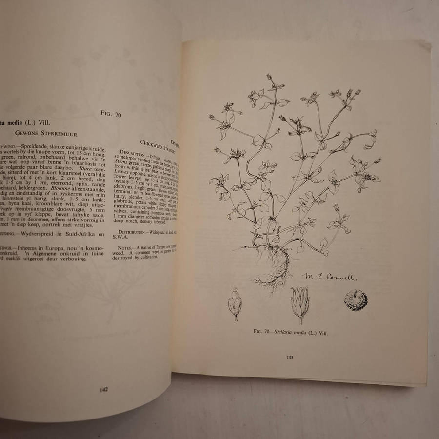Algemene Onkruide in Suid-Afrika / Common Weeds in South Africa (Botaniese Opname, Memoir Nr. 37 / B