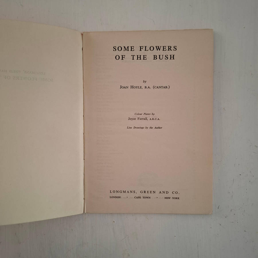 Some Flowers Of The Bush  (Joan Hoyle)
