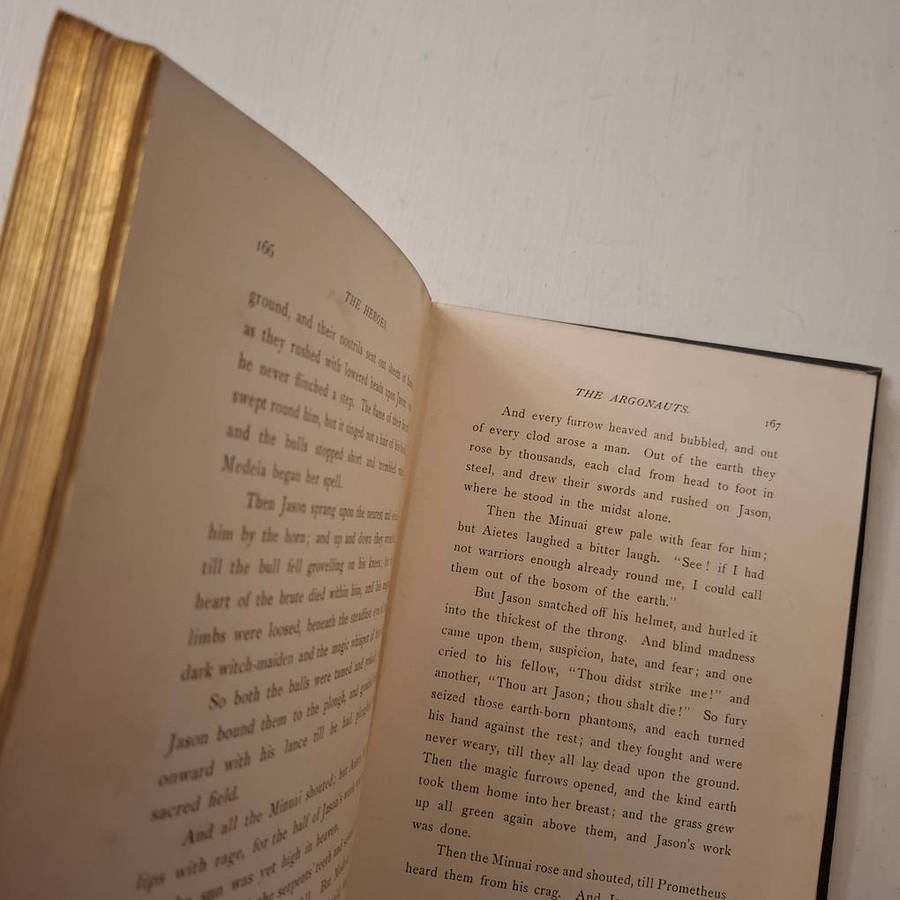 The heroes or Greek fairy tales for my children by Charles Kingsley, with illustrations by T.H. Robi