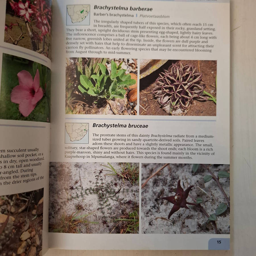 Guide to Succulents of Southern Africa (Crouch, Neil, Smith, Gideon)