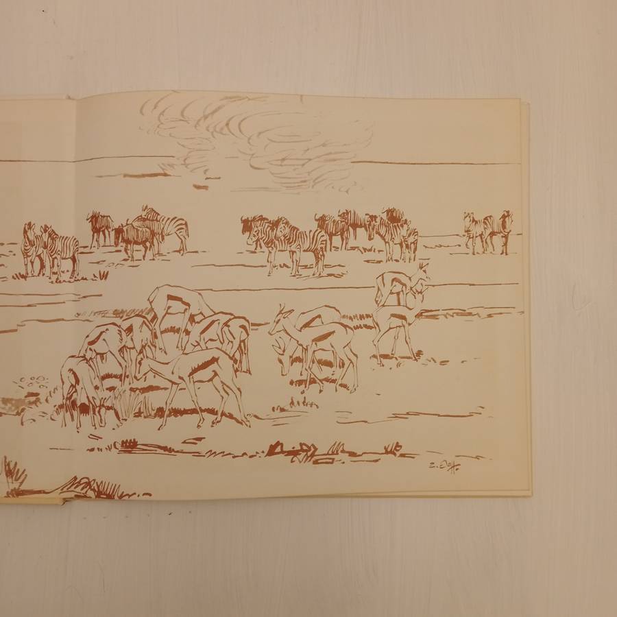 Animal Art of Etosha. Tierkunst von Etoscha. Dierekuns van Etosha