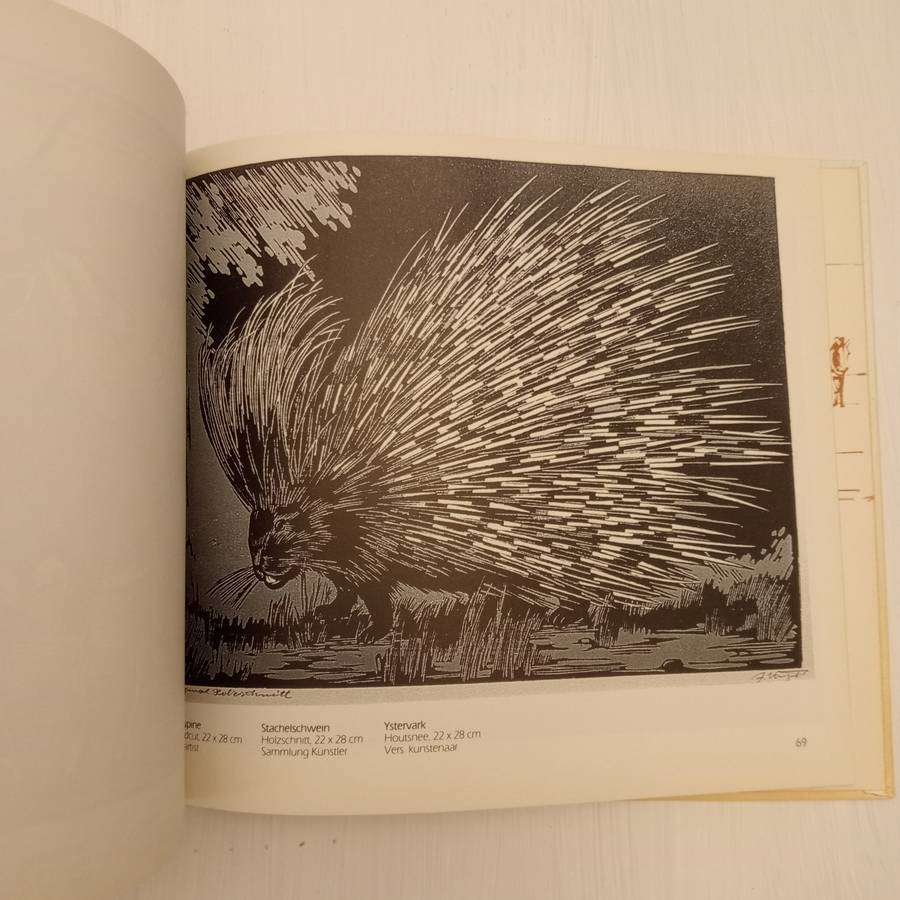 Animal Art of Etosha. Tierkunst von Etoscha. Dierekuns van Etosha