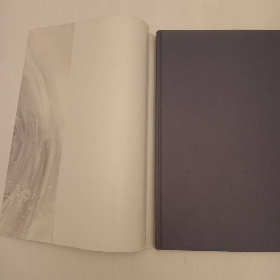 A Brush With Cricket : Richie Ryall Benefit Year July 1991 - July 1992 (Signed by the author Richie